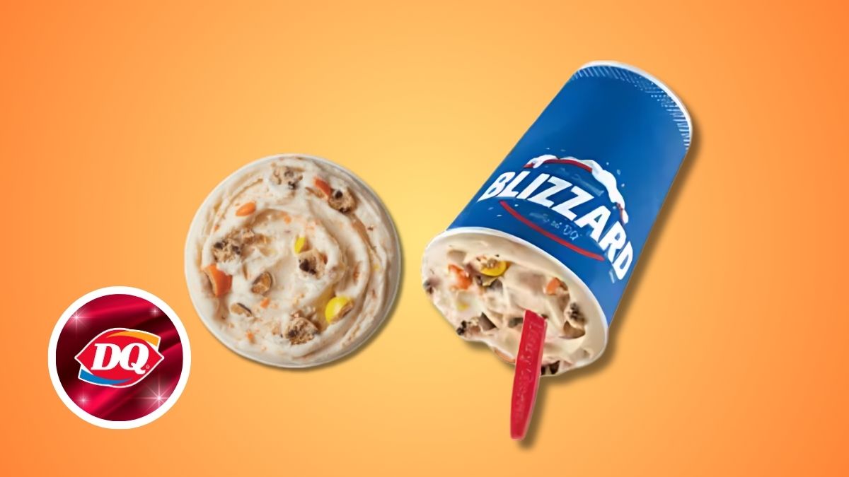 The 1 Ninja Creami's Delicious Dairy Queen Blizzard Recipe Ninja