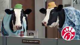 You Won't Believe What the Chick-fil-A Cows Are Up to Now